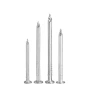 Steel Nails – All Sizes Available, Bright and Galvanized Steel Nails for Carpentry, Formwork, Roofing and General Construction, Packed for Trade and DIY Use